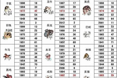 2005年五行属什么|2005年属鸡五行属什么 2005年属鸡的五行属什么